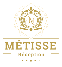 Logo Métisse Réception